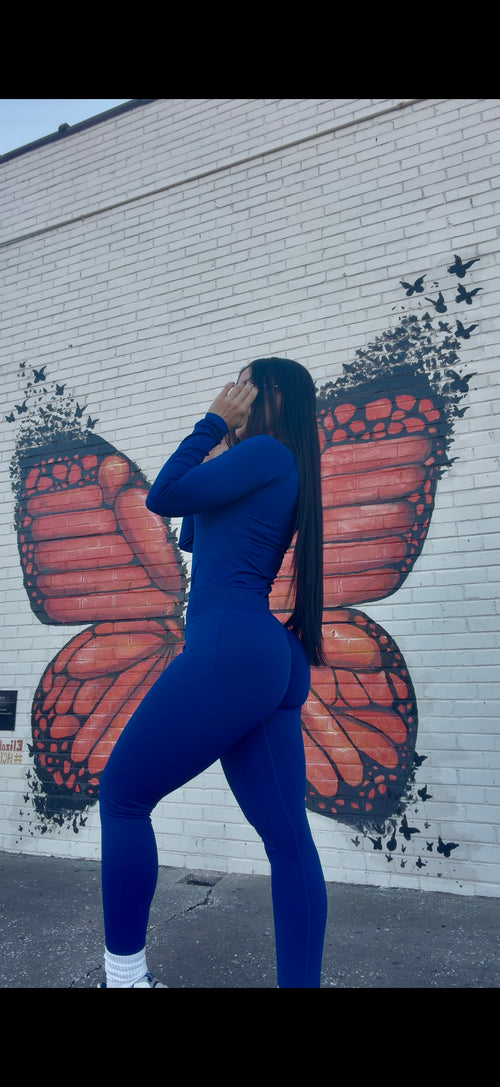 Blue butterfly set