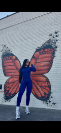Blue butterfly set